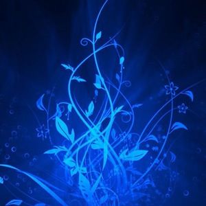 Meet your Posher, Lily